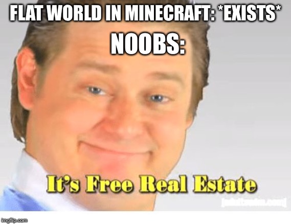 It's Free Real Estate | NOOBS:; FLAT WORLD IN MINECRAFT: *EXISTS* | image tagged in it's free real estate | made w/ Imgflip meme maker
