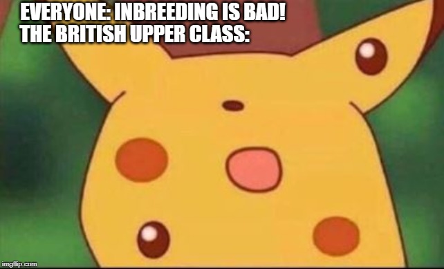 surprised pikachu inbred | EVERYONE: INBREEDING IS BAD! THE BRITISH UPPER CLASS: | image tagged in surprised pikachu inbred | made w/ Imgflip meme maker