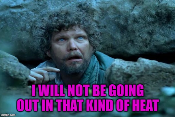 Under a Rock | I WILL NOT BE GOING OUT IN THAT KIND OF HEAT | image tagged in under a rock | made w/ Imgflip meme maker