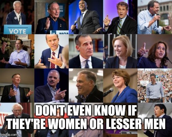 Democratic Presidential Candidates 2020 | DON'T EVEN KNOW IF THEY'RE WOMEN OR LESSER MEN | image tagged in democratic presidential candidates 2020 | made w/ Imgflip meme maker