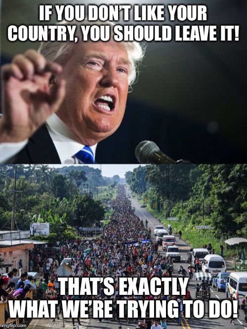 IF YOU DON’T LIKE YOUR COUNTRY, YOU SHOULD LEAVE IT! THAT’S EXACTLY WHAT WE’RE TRYING TO DO! | image tagged in donald trump,immigrant caravan | made w/ Imgflip meme maker