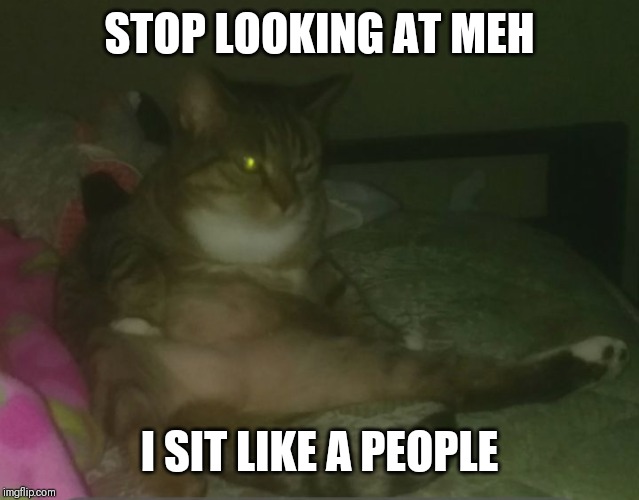 STOP LOOKING | STOP LOOKING AT MEH; I SIT LIKE A PEOPLE | image tagged in stop looking | made w/ Imgflip meme maker