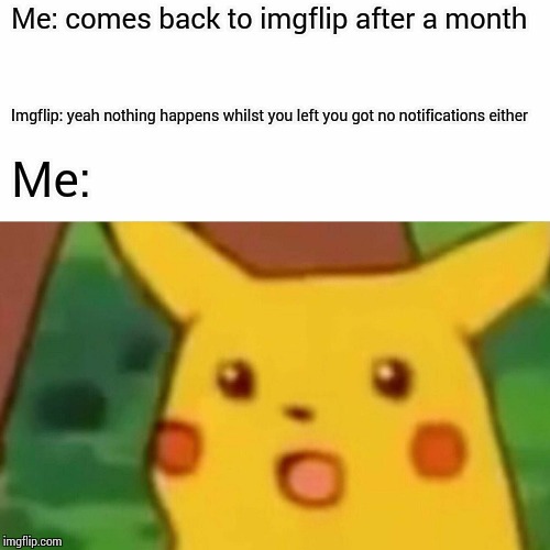 Surprised Pikachu | Me: comes back to imgflip after a month; Imgflip: yeah nothing happens whilst you left you got no notifications either; Me: | image tagged in memes,surprised pikachu | made w/ Imgflip meme maker