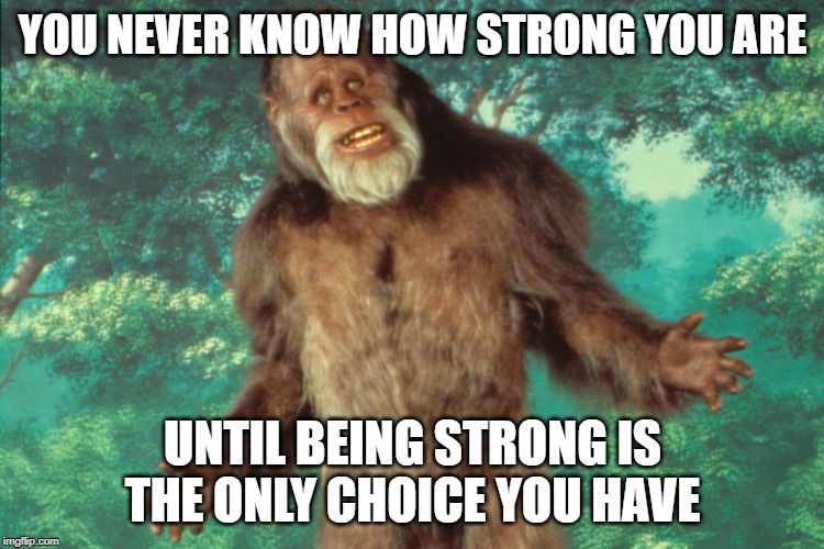 Sasquatch power | YOU NEVER KNOW HOW STRONG YOU ARE; UNTIL BEING STRONG IS THE ONLY CHOICE YOU HAVE | image tagged in sasquatch power | made w/ Imgflip meme maker