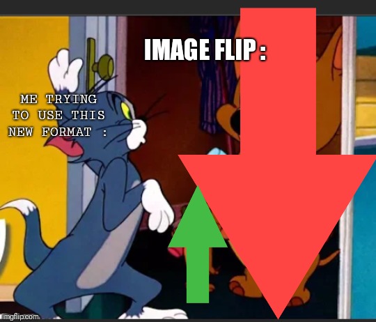 Tom's Big Problem | IMAGE FLIP :; ME TRYING TO USE THIS NEW FORMAT : | image tagged in tom and jerry | made w/ Imgflip meme maker