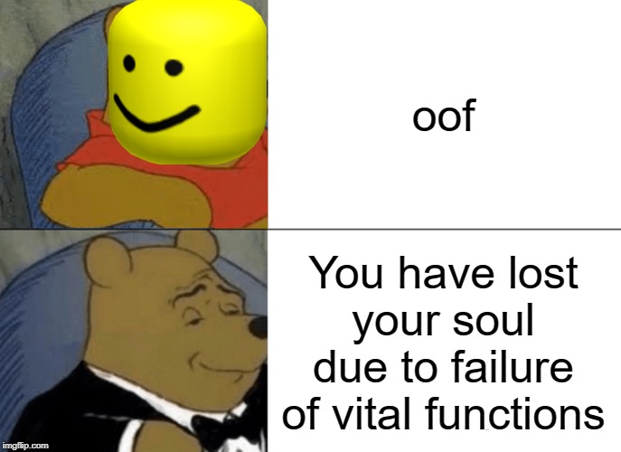 Failure of vital functions | oof; You have lost your soul due to failure of vital functions | image tagged in memes,tuxedo winnie the pooh | made w/ Imgflip meme maker