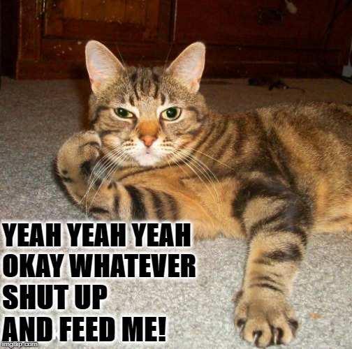 YEAH YEAH YEAH | YEAH YEAH YEAH OKAY WHATEVER; SHUT UP AND FEED ME! | image tagged in yeah yeah yeah | made w/ Imgflip meme maker