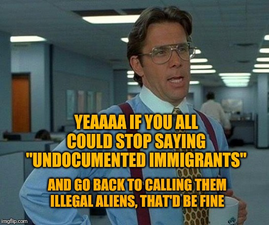 That Would Be Great Meme | YEAAAA IF YOU ALL COULD STOP SAYING "UNDOCUMENTED IMMIGRANTS"; AND GO BACK TO CALLING THEM ILLEGAL ALIENS, THAT'D BE FINE | image tagged in memes,that would be great | made w/ Imgflip meme maker