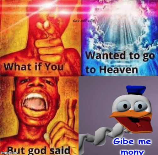 image tagged in what if you wanted to go to heaven | made w/ Imgflip meme maker