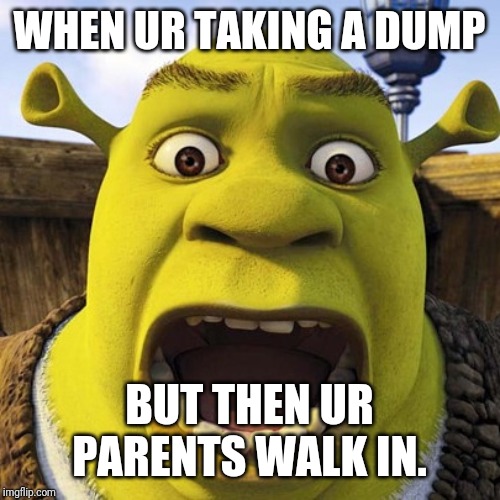 WHEN UR TAKING A DUMP; BUT THEN UR PARENTS WALK IN. | image tagged in shrek | made w/ Imgflip meme maker