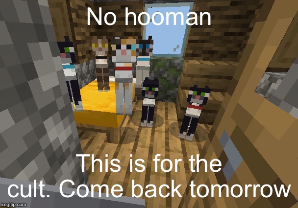 When you're just too lazy to buy a cat and there's a minecraft village nearby be like | No hooman; This is for the cult. Come back tomorrow | image tagged in memes | made w/ Imgflip meme maker