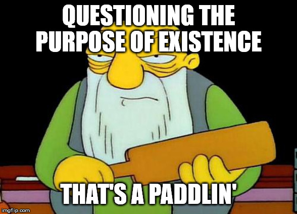 That's a paddlin' Meme | QUESTIONING THE PURPOSE OF EXISTENCE; THAT'S A PADDLIN' | image tagged in memes,that's a paddlin' | made w/ Imgflip meme maker