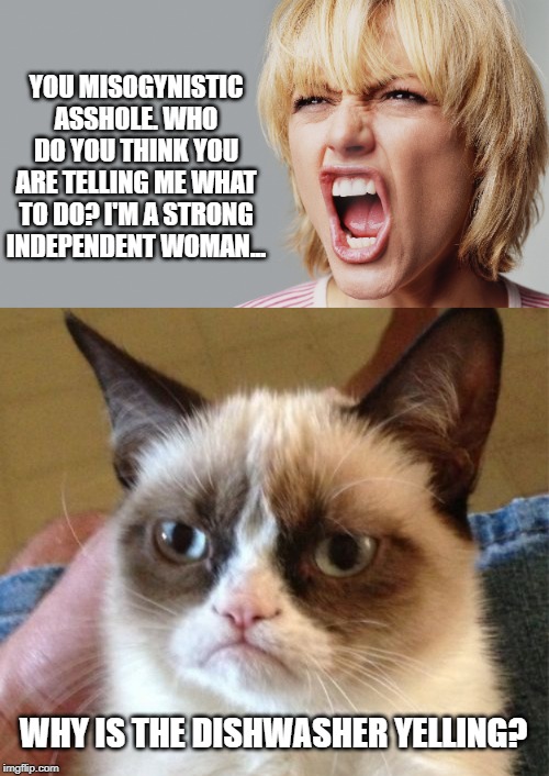 YOU MISOGYNISTIC ASSHOLE. WHO DO YOU THINK YOU ARE TELLING ME WHAT TO DO? I'M A STRONG INDEPENDENT WOMAN... WHY IS THE DISHWASHER YELLING? | image tagged in memes,grumpy cat,angry woman yelling | made w/ Imgflip meme maker
