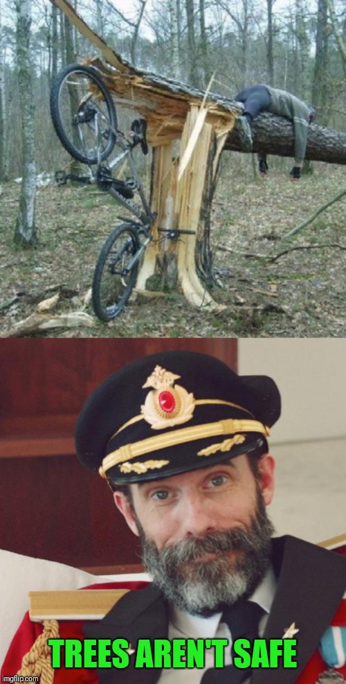 TREES AREN'T SAFE | image tagged in captain obvious | made w/ Imgflip meme maker