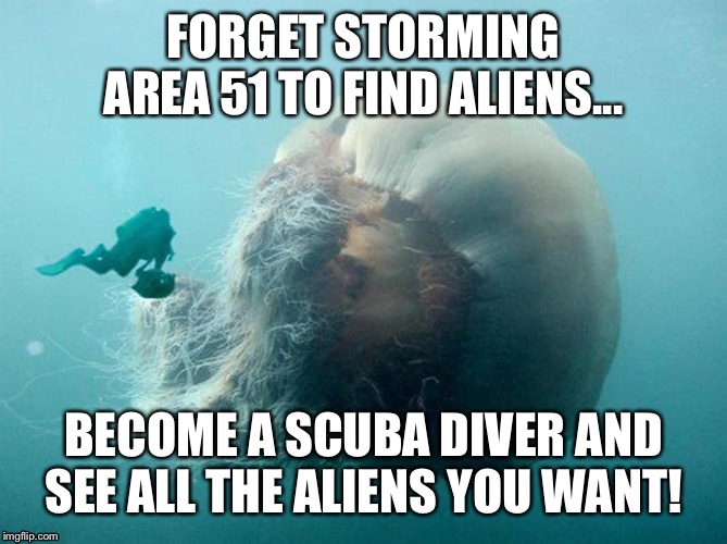 FORGET STORMING AREA 51 TO FIND ALIENS... BECOME A SCUBA DIVER AND SEE ALL THE ALIENS YOU WANT! | image tagged in area 51,aliens,scuba diving | made w/ Imgflip meme maker