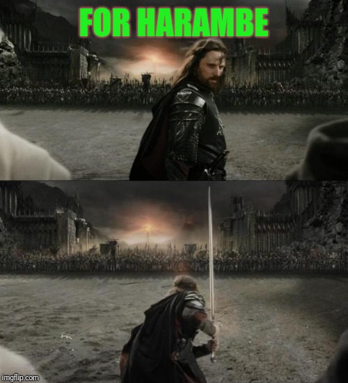 Aragorn in battle | FOR HARAMBE | image tagged in aragorn in battle | made w/ Imgflip meme maker