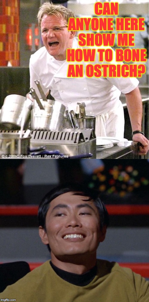 CAN ANYONE HERE SHOW ME HOW TO BONE AN OSTRICH? | image tagged in memes,chef gordon ramsay,sulu smug | made w/ Imgflip meme maker
