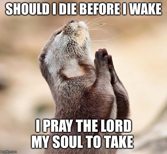 animal praying | SHOULD I DIE BEFORE I WAKE; I PRAY THE LORD MY SOUL TO TAKE | image tagged in animal praying | made w/ Imgflip meme maker