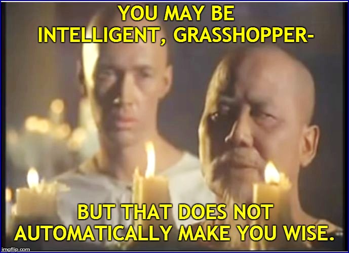 YOU MAY BE INTELLIGENT, GRASSHOPPER- BUT THAT DOES NOT AUTOMATICALLY MAKE YOU WISE. | made w/ Imgflip meme maker