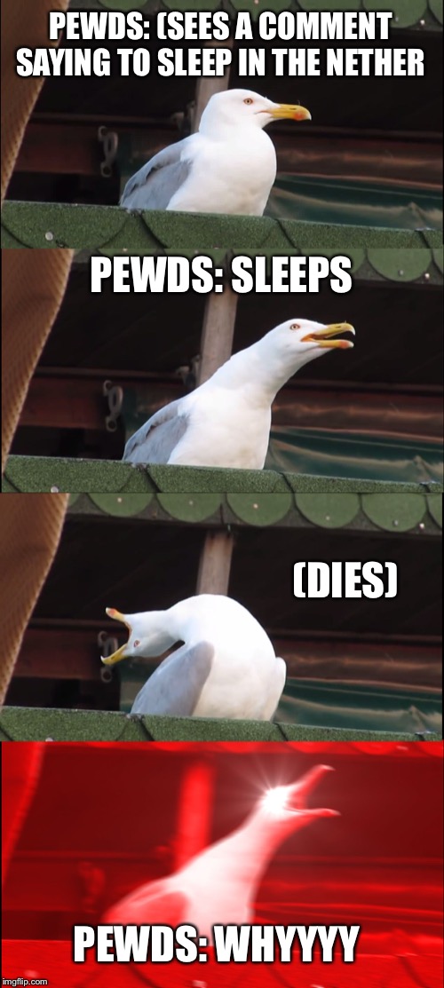 Inhaling Seagull | PEWDS: (SEES A COMMENT SAYING TO SLEEP IN THE NETHER; PEWDS: SLEEPS; (DIES); PEWDS: WHYYYY | image tagged in memes,inhaling seagull | made w/ Imgflip meme maker