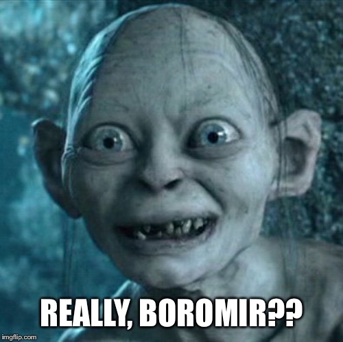 Gollum Meme | REALLY, BOROMIR?? | image tagged in memes,gollum | made w/ Imgflip meme maker