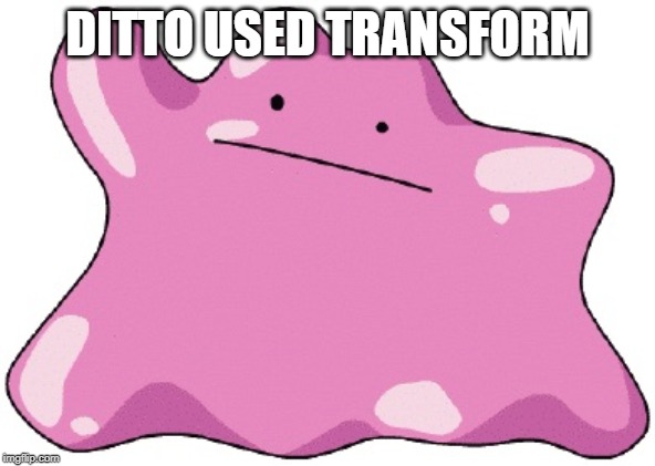 Ditto  | DITTO USED TRANSFORM | image tagged in ditto | made w/ Imgflip meme maker