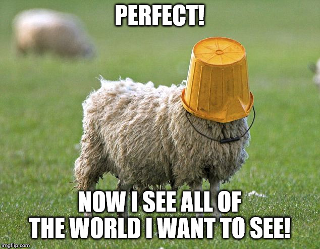 stupid sheep | PERFECT! NOW I SEE ALL OF THE WORLD I WANT TO SEE! | image tagged in stupid sheep | made w/ Imgflip meme maker