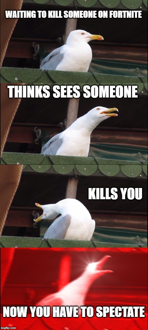Inhaling Seagull | WAITING TO KILL SOMEONE ON FORTNITE; THINKS SEES SOMEONE; KILLS YOU; NOW YOU HAVE TO SPECTATE | image tagged in memes,inhaling seagull | made w/ Imgflip meme maker