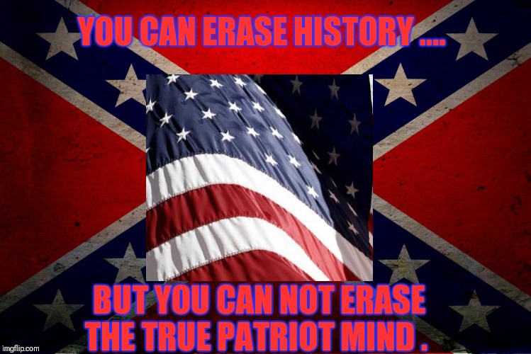 True patriot | YOU CAN ERASE HISTORY .... BUT YOU CAN NOT ERASE THE TRUE PATRIOT MIND . | image tagged in american revolution | made w/ Imgflip meme maker