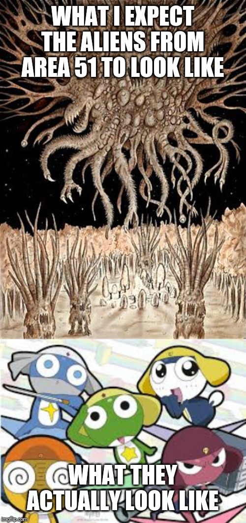 WHAT I EXPECT THE ALIENS FROM AREA 51 TO LOOK LIKE; WHAT THEY ACTUALLY LOOK LIKE | image tagged in area 51,sgt frog,shub niggurath | made w/ Imgflip meme maker