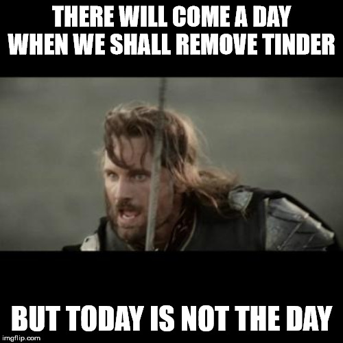 But it is not this day! | THERE WILL COME A DAY WHEN WE SHALL REMOVE TINDER; BUT TODAY IS NOT THE DAY | image tagged in but it is not this day | made w/ Imgflip meme maker