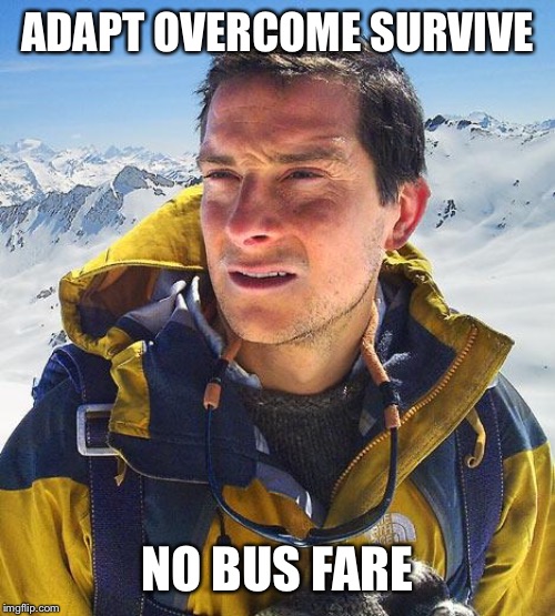 Bear Grylls Meme | ADAPT OVERCOME SURVIVE NO BUS FARE | image tagged in memes,bear grylls | made w/ Imgflip meme maker