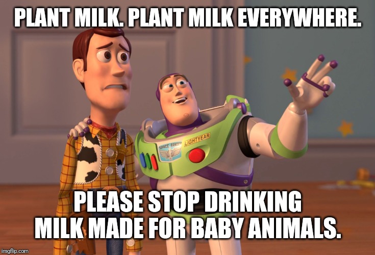 X, X Everywhere Meme | PLANT MILK. PLANT MILK EVERYWHERE. PLEASE STOP DRINKING MILK MADE FOR BABY ANIMALS. | image tagged in memes,x x everywhere | made w/ Imgflip meme maker