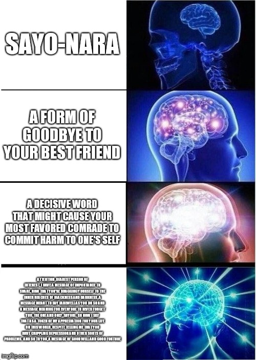 Yuri a very considerate person if you mourn sayori's passing.  Thank you for wasting your time.  Enjoy the meme. | SAYO-NARA; A FORM OF GOODBYE TO YOUR BEST FRIEND; A DECISIVE WORD THAT MIGHT CAUSE YOUR MOST FAVORED COMRADE TO COMMIT HARM TO ONE'S SELF; ATTENTION, DEAREST PERSON OF INTEREST, I HAVE A MESSAGE OF IMPORTANCE TO SHARE, NOW THAT YOU'RE DRAGGING YOURSELF TO THE INNER REACHES OF BLACKNESS AND DARKNESS, A MESSAGE MEANT TO SAY FAREWELL AS YOU DO SO AND A MESSAGE MEANING FOR EVERYONE TO NEVER FORGET YOU, THE ONE AND ONLY, SAYORI.  SO NOW I SAY THAT AS A TOKEN OF MY APPRECIATION FOR YOUR LIFE ON THIS WORLD, DESPITE TELLING ME THAT YOU HAVE CRIPPLING DEPRESSION AND OTHER SORTS OF PROBLEMS.  AND SO TO YOU, A MESSAGE OF GOOD WILL AND GOOD FORTUNE | image tagged in memes,expanding brain,doki doki literature club | made w/ Imgflip meme maker