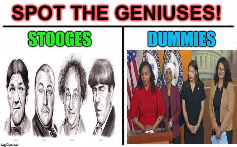 Stooges and Dummies | SPOT THE GENIUSES! STOOGES; DUMMIES | image tagged in spot the difference,memes,the three stooges,alexandria ocasio-cortez,for dummies | made w/ Imgflip meme maker