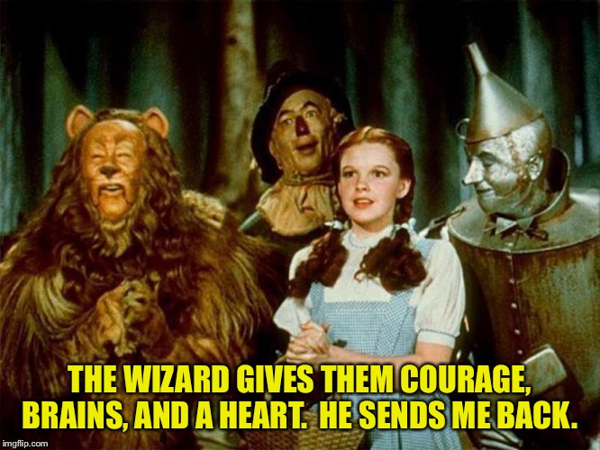 Wizard of oz | THE WIZARD GIVES THEM COURAGE, BRAINS, AND A HEART.  HE SENDS ME BACK. | image tagged in wizard of oz | made w/ Imgflip meme maker