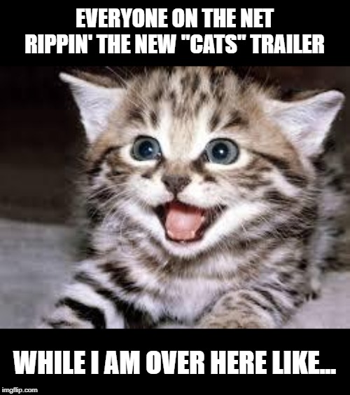 It's Not That Bad...or is it? | EVERYONE ON THE NET RIPPIN' THE NEW "CATS" TRAILER; WHILE I AM OVER HERE LIKE... | image tagged in happy cat | made w/ Imgflip meme maker