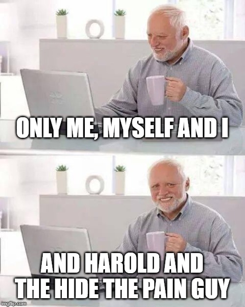 Hide the Pain Harold Meme | ONLY ME, MYSELF AND I AND HAROLD AND THE HIDE THE PAIN GUY | image tagged in memes,hide the pain harold | made w/ Imgflip meme maker