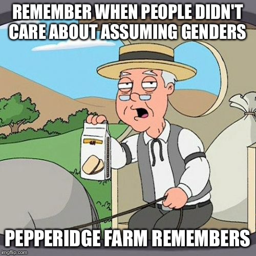 It was a simple time back then,no SJW's | REMEMBER WHEN PEOPLE DIDN'T CARE ABOUT ASSUMING GENDERS; PEPPERIDGE FARM REMEMBERS | image tagged in memes,pepperidge farm remembers | made w/ Imgflip meme maker