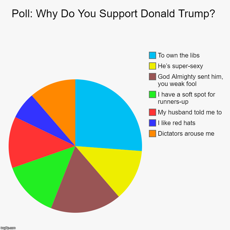 Poll: Why Do You Support Donald Trump? | Dictators arouse me, I like red hats, My husband told me to, I have a soft spot for runners-up, God | image tagged in charts,pie charts | made w/ Imgflip chart maker