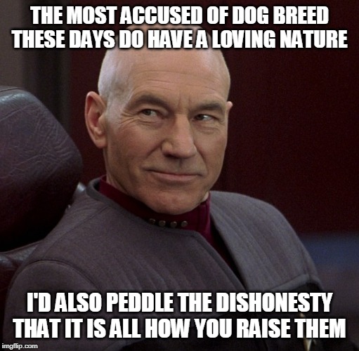 Picard confident  | THE MOST ACCUSED OF DOG BREED THESE DAYS DO HAVE A LOVING NATURE; I'D ALSO PEDDLE THE DISHONESTY THAT IT IS ALL HOW YOU RAISE THEM | image tagged in picard confident | made w/ Imgflip meme maker