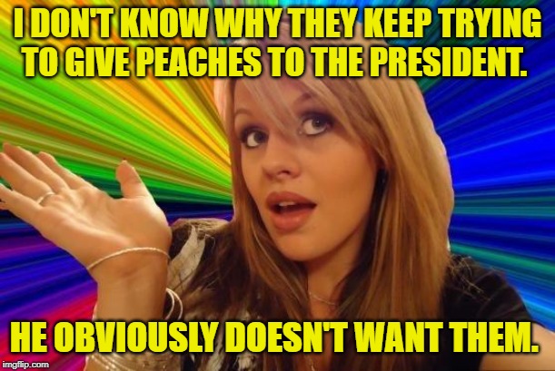 Dumb Blonde Meme | I DON'T KNOW WHY THEY KEEP TRYING TO GIVE PEACHES TO THE PRESIDENT. HE OBVIOUSLY DOESN'T WANT THEM. | image tagged in memes,dumb blonde,nixieknox,trump impeachment,funny,politics | made w/ Imgflip meme maker
