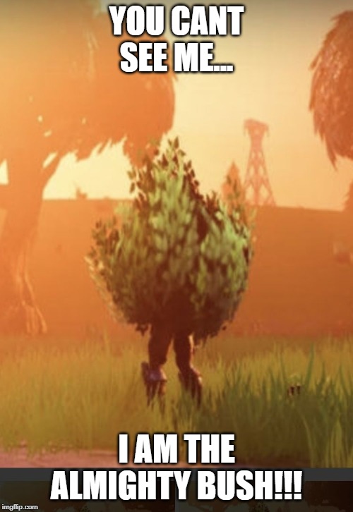 Fortnite bush | YOU CANT SEE ME... I AM THE ALMIGHTY BUSH!!! | image tagged in fortnite bush | made w/ Imgflip meme maker