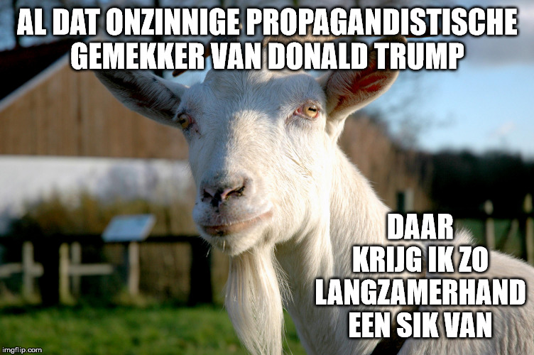 Dutch: Ik krijg er een SIK van! | AL DAT ONZINNIGE PROPAGANDISTISCHE GEMEKKER VAN DONALD TRUMP; DAAR KRIJG IK ZO LANGZAMERHAND EEN SIK VAN | image tagged in goat | made w/ Imgflip meme maker