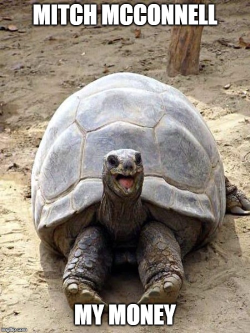 Smiling happy excited tortoise | MITCH MCCONNELL; MY MONEY | image tagged in smiling happy excited tortoise | made w/ Imgflip meme maker