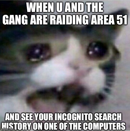 Incognito will not protect you |  WHEN U AND THE GANG ARE RAIDING AREA 51; AND SEE YOUR INCOGNITO SEARCH HISTORY ON ONE OF THE COMPUTERS | image tagged in crying cat | made w/ Imgflip meme maker