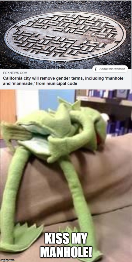PC is Just Ridiculous Anymore | KISS MY MANHOLE! | image tagged in gay kermit | made w/ Imgflip meme maker