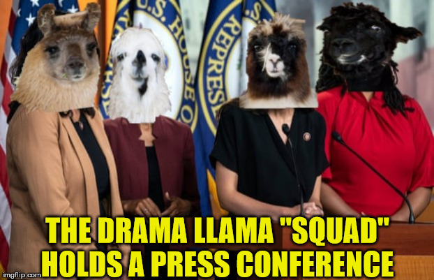 The Drama Llama Squad | THE DRAMA LLAMA "SQUAD" HOLDS A PRESS CONFERENCE | image tagged in the drama llama squad,memes,so much drama,alexandria ocasio-cortez,omar,first world problems | made w/ Imgflip meme maker