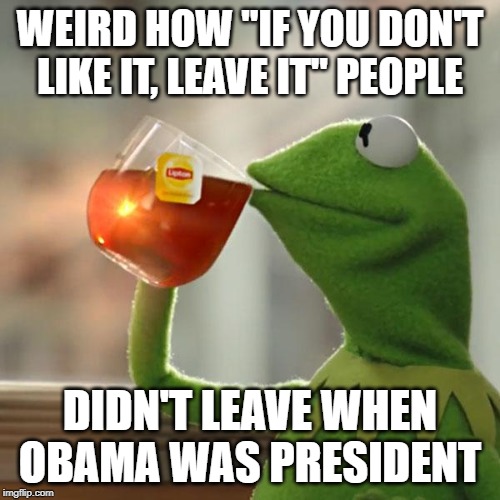 Huh. | WEIRD HOW "IF YOU DON'T LIKE IT, LEAVE IT" PEOPLE; DIDN'T LEAVE WHEN OBAMA WAS PRESIDENT | image tagged in memes,but thats none of my business,kermit the frog,conservative logic,conservative hypocrisy,obama | made w/ Imgflip meme maker