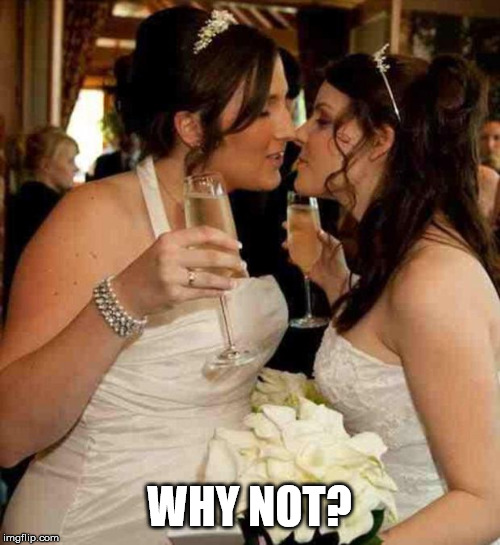 lesbian wedding | WHY NOT? | image tagged in lesbian wedding | made w/ Imgflip meme maker